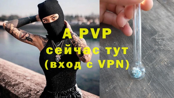 дмт Балахна